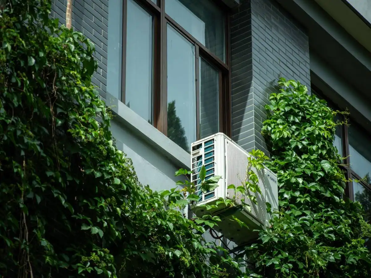 window in Covington, KY